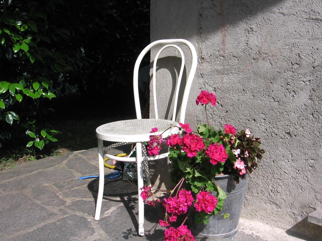 Malgesso B&B Bosco Fiorito المظهر الخارجي الصورة