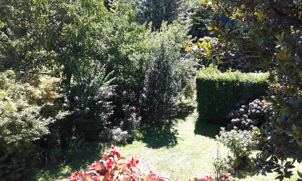 Malgesso B&B Bosco Fiorito المظهر الخارجي الصورة