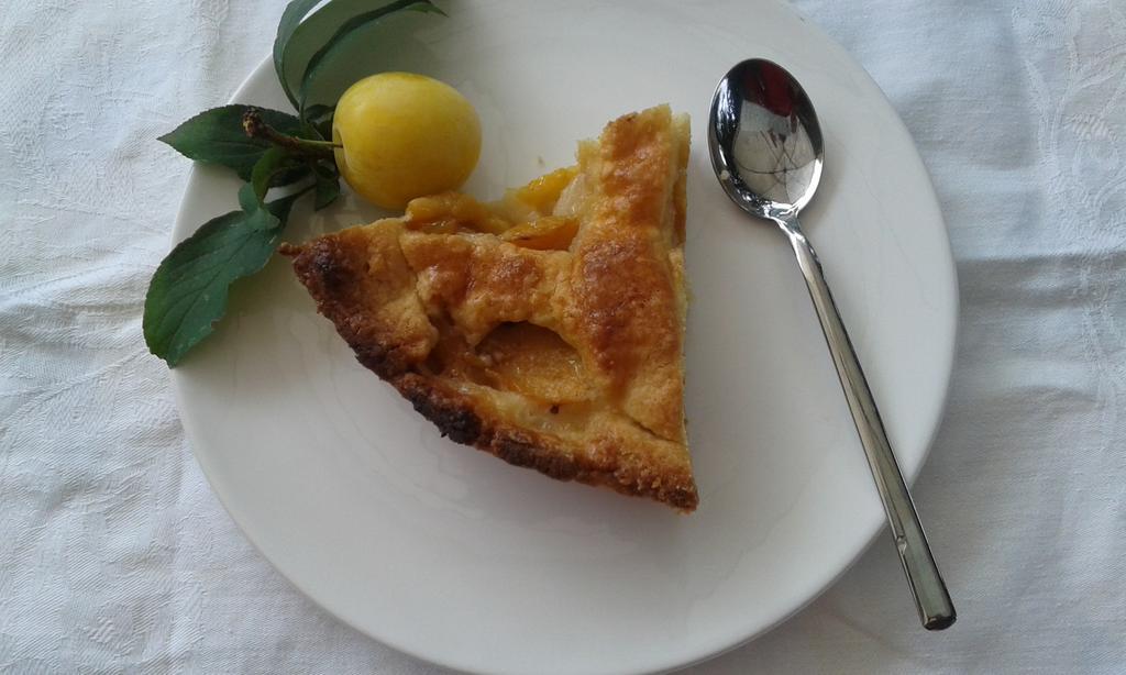 Malgesso B&B Bosco Fiorito المظهر الخارجي الصورة